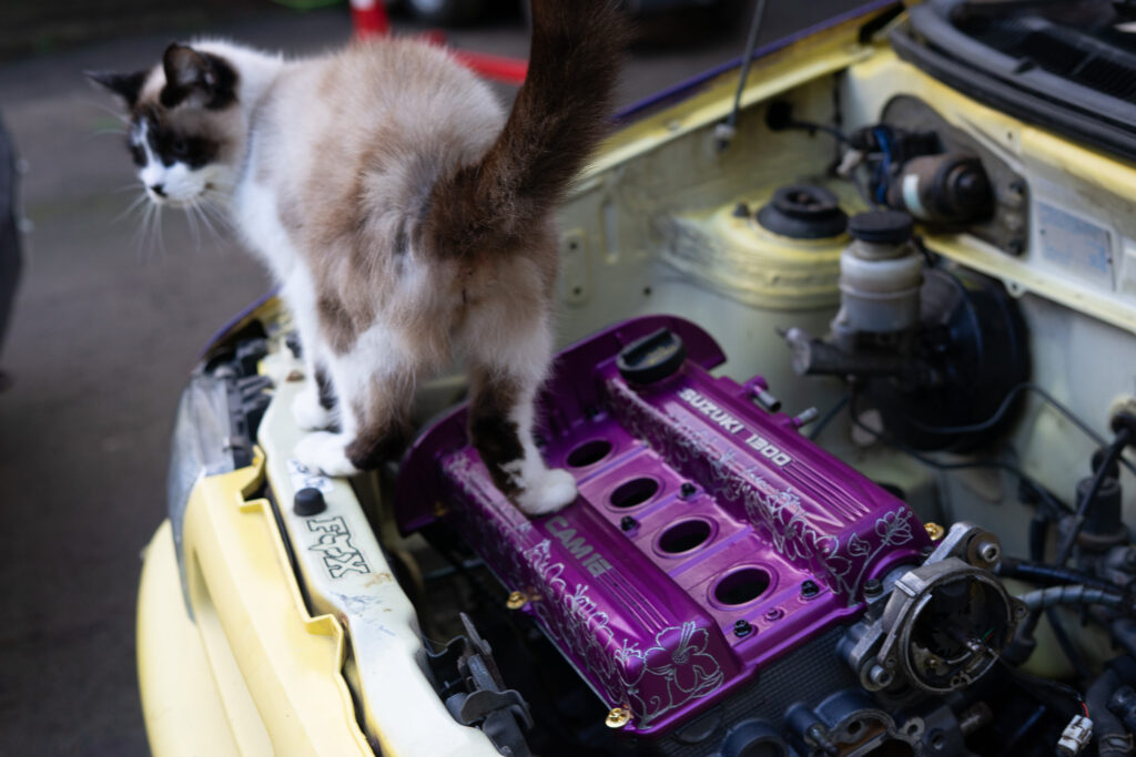 summercoatfox JODEX Legends Skye G13B Suzuki Swift Alto Engine Swap with engraved jdm cherryblossom and fox art twin cam cute cat