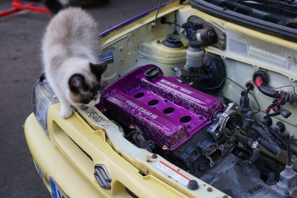 summercoatfox JODEX Legends Skye G13B Suzuki Swift Alto Engine Swap with engraved jdm cherryblossom and fox art twin cam cat